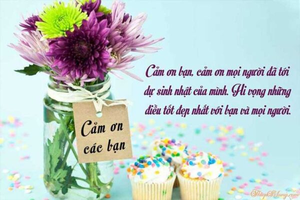 Cách cám ơn lời chúc sinh nhật và mẫu câu trả lời lịch sự Lời Chúc Sinh Nhật 2011