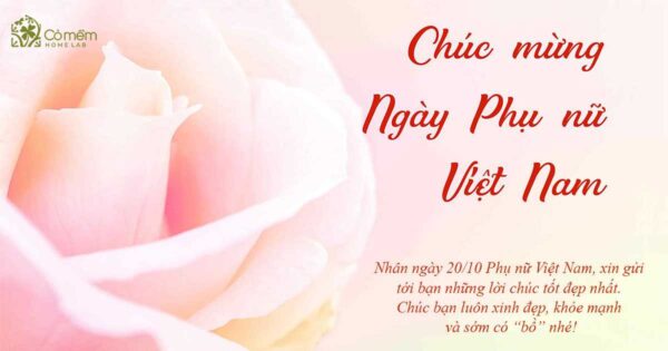 Lời chúc 20 10 đồng nghiệp: Ý nghĩa và các câu chúc hay nhất